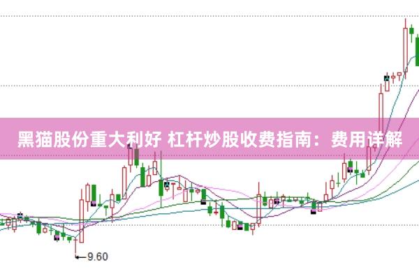 黑猫股份重大利好 杠杆炒股收费指南：费用详解