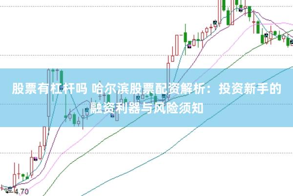 股票有杠杆吗 哈尔滨股票配资解析：投资新手的融资利器与风险须知