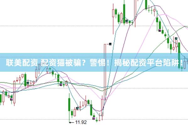联美配资 配资猫被骗？警惕！揭秘配资平台陷阱！