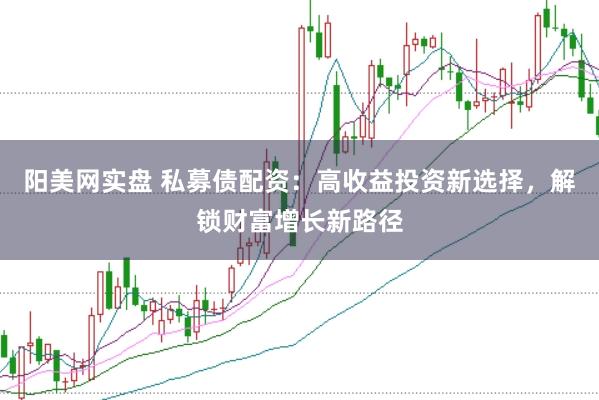 阳美网实盘 私募债配资：高收益投资新选择，解锁财富增长新路径
