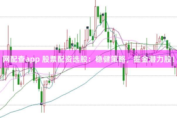 网配查app 股票配资选股：稳健策略，掘金潜力股！