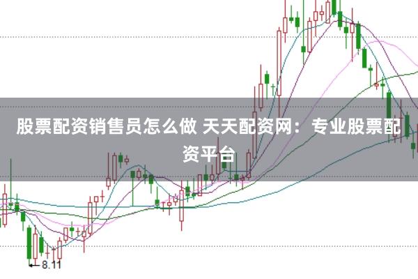 股票配资销售员怎么做 天天配资网：专业股票配资平台