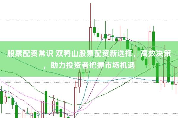 股票配资常识 双鸭山股票配资新选择，高效决策，助力投资者把握市场机遇