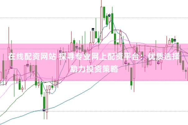 在线配资网站 探寻专业网上配资平台：优质选择助力投资策略