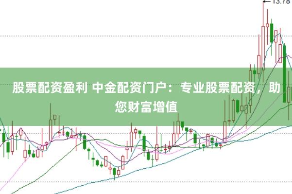 股票配资盈利 中金配资门户：专业股票配资，助您财富增值