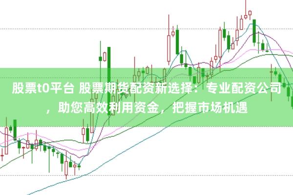 股票t0平台 股票期货配资新选择：专业配资公司，助您高效利用资金，把握市场机遇