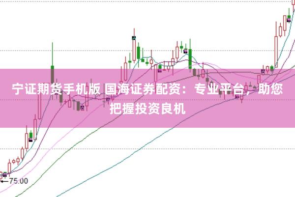 宁证期货手机版 国海证券配资：专业平台，助您把握投资良机