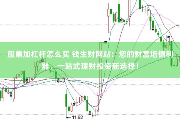 股票加杠杆怎么买 钱生财网站:您的财富增值利器,一站式理财投资新选择!